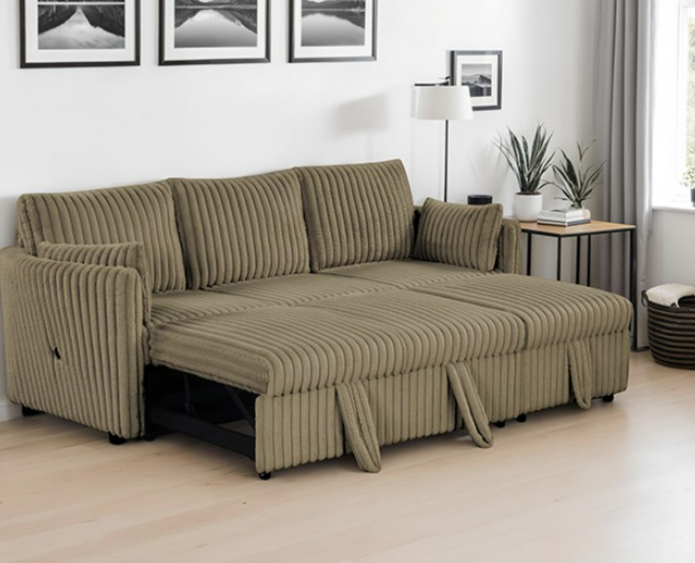 Denholme Sectional w/ Pull Out